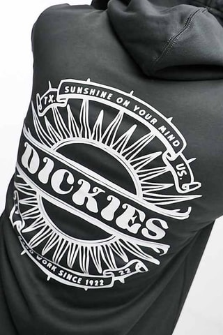 Sweater met Capuchon Lovetsville - Grijs - Dickies