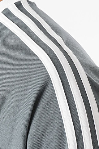 T-shirt Originals Adicolor - Groen - Adidas