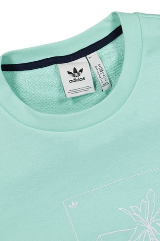 Sweater Summer Club - Zeegroen - Adidas