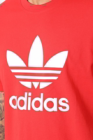 T-shirt Originals adicolor - Rood - Adidas