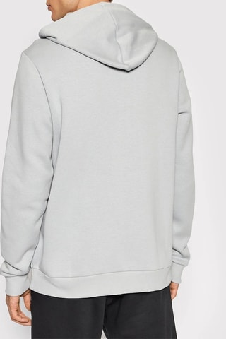 Sweater met Capuchon Relaxed Risque - Lichtgrijs - Reebok