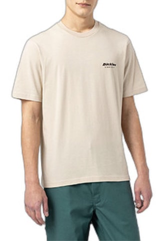 T-shirt Artondale - Grijs - Dickies