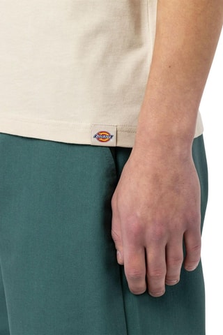 T-shirt Artondale - Grijs - Dickies
