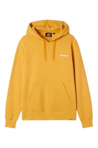 Sweater met Capuchon Camden - Geel en Bruin - Dickies