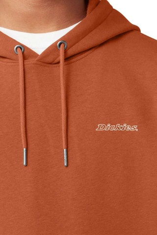 Sweater met Capuchon Uniontown - Bruin - Dickies