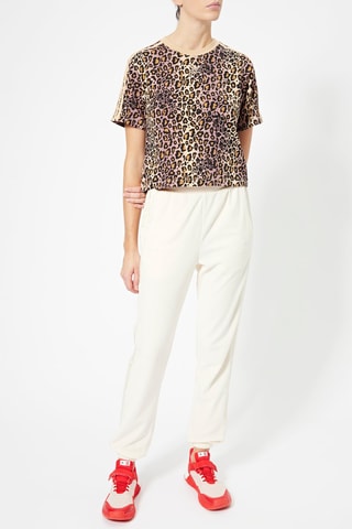 Broek Slim Jogger Beige