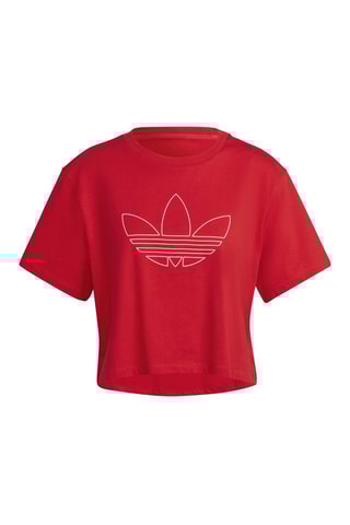 Crop Top  Rood