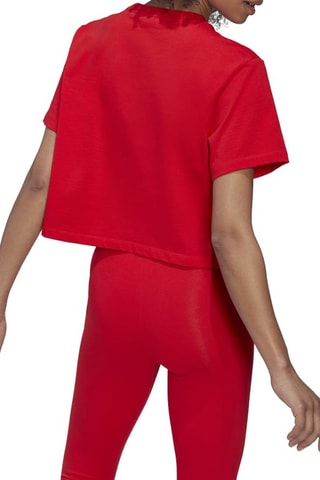 Crop Top  Rood
