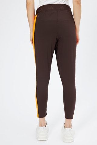 Sportlegging Hoge Taille Trn Tig Tf In - Bruin