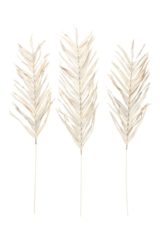 3 branchages Livistona - 100 cm