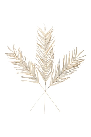3 branchages Livistona - 100 cm