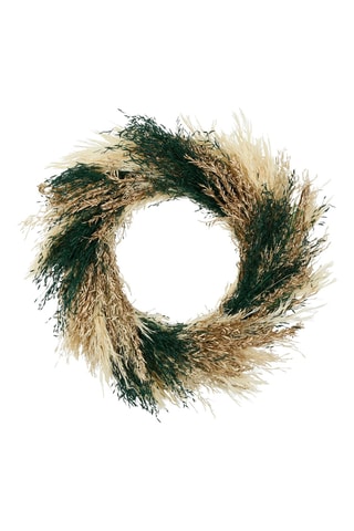Couronne de plantes séchées Limonium - 37 cm - Vert