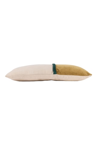 Housse de coussin en velours Neo - Doré et écru - 50 x 30 cm
