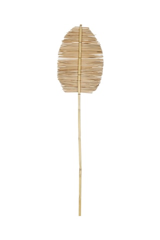 3 plantes séchées Bambou - 22 x 90/24 x 100 cm