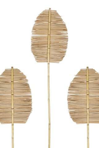 3 plantes séchées Bambou - 22 x 90/24 x 100 cm
