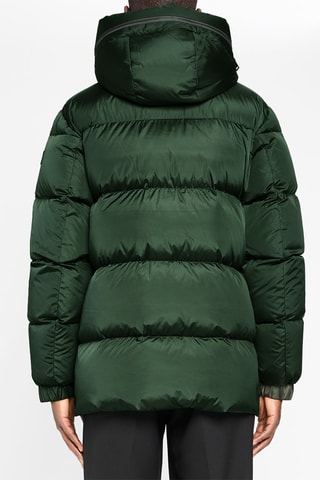 Parka Vert