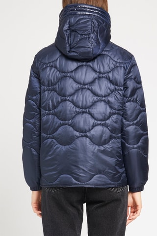 Gewatteerde Jas met Capuchon Marineblauw