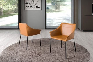 2 chaises Marron