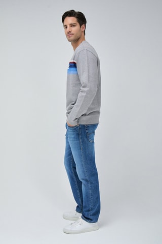 Sweat regular - Gris