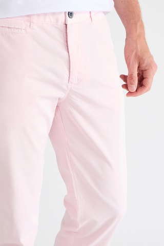 Chino - Rose