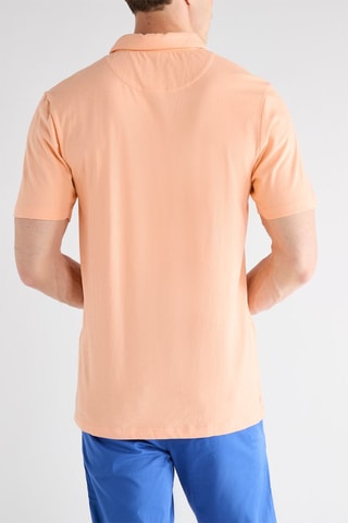 Polo - Saumon