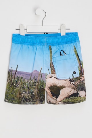 2 shorts de bain - Ciel et kaki