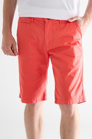 Bermuda - Corail