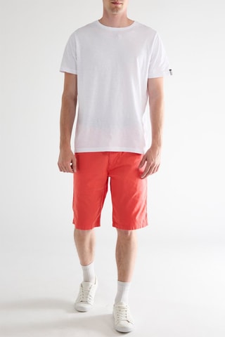 Bermuda - Corail