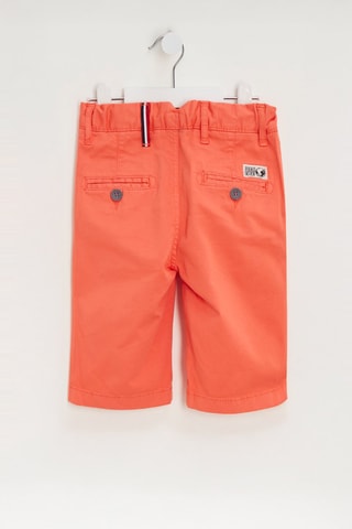 Bermuda - Corail