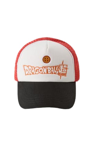 Pet Dragon Ball - Rood