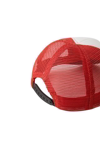 Pet Dragon Ball - Rood