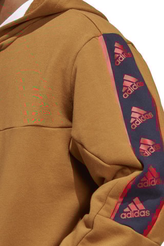 Sweat à capuche - Camel