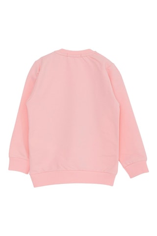 Sweat - Rose