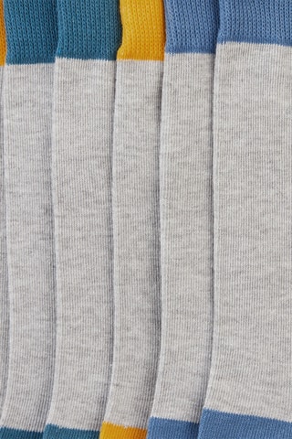 7 pares de meias em algodão - Cinzento