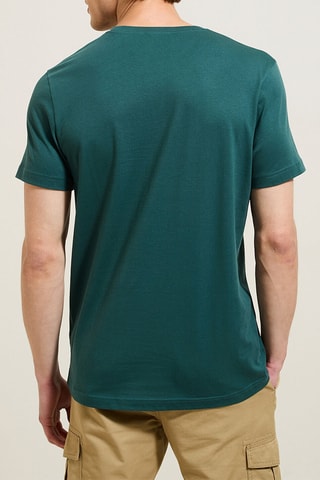 T-shirt slim em algodão biológico - Verde-esmeralda