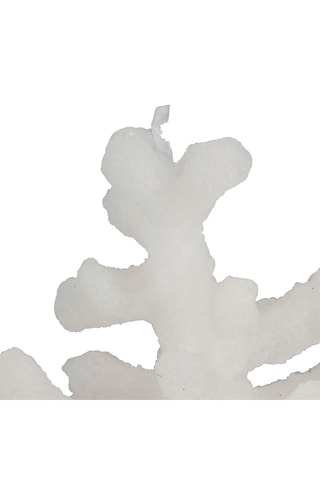 Vela Corail - Branco
