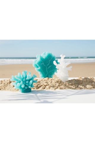 Vela Corail - Branco