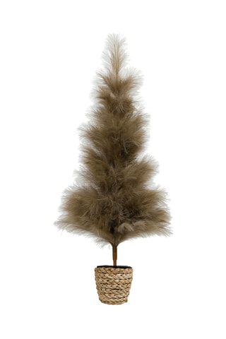 Sapin décoratif Pampa - 75 x 150 cm - Beige