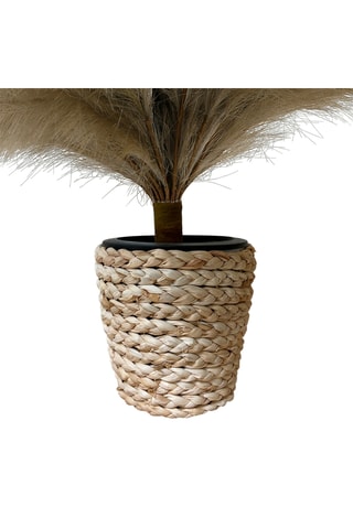Sapin décoratif Pampa - 75 x 150 cm - Beige