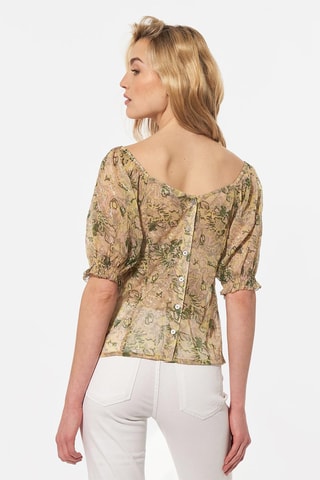Top Brook - Rose