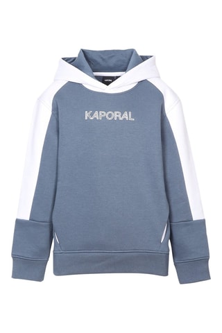 Sweat à capuche Prizz - Gris
