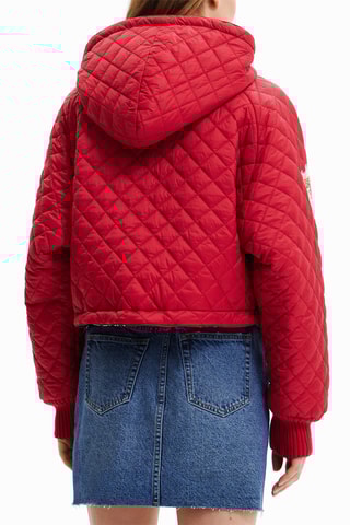 Sweat à capuche Rouge