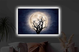 Tableau LED - 45 x 70 cm