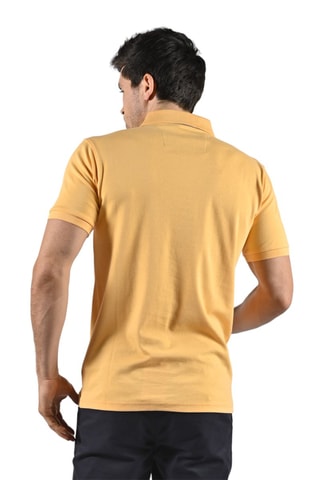 Polo Pratik Geel