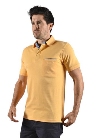 Polo Pratik Geel