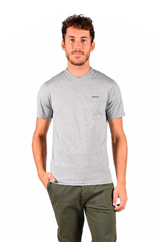 2 T-shirts Vitorio Grijs