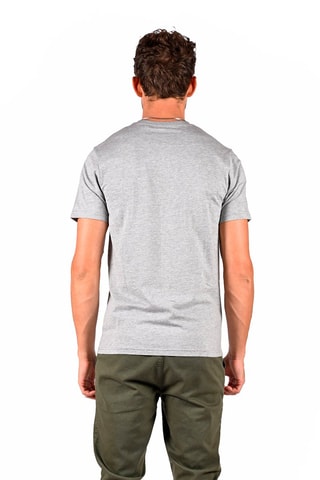 2 T-shirts Vitorio Grijs