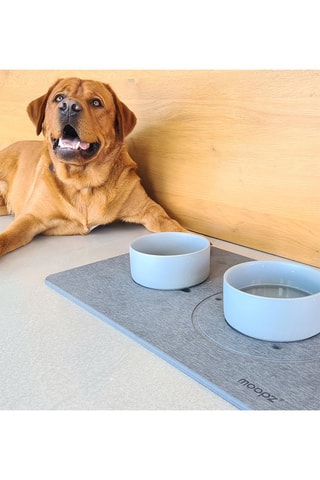 Set Animaux (Tapis + Gamelles) - Gris