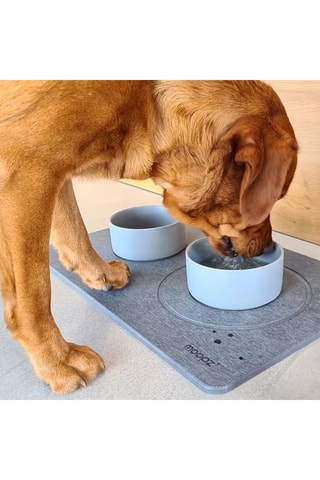 Set Animaux (Tapis + Gamelles) - Ardoise