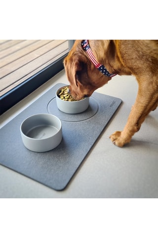 Set Animaux (Tapis + Gamelles) - Ardoise